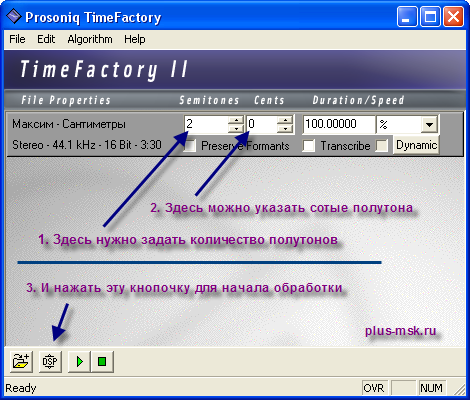 Prosoniq TimeFactory 2 - Установка тональности