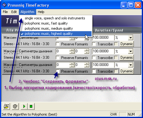 Prosoniq TimeFactory 2 - Установка алгоритма обработки